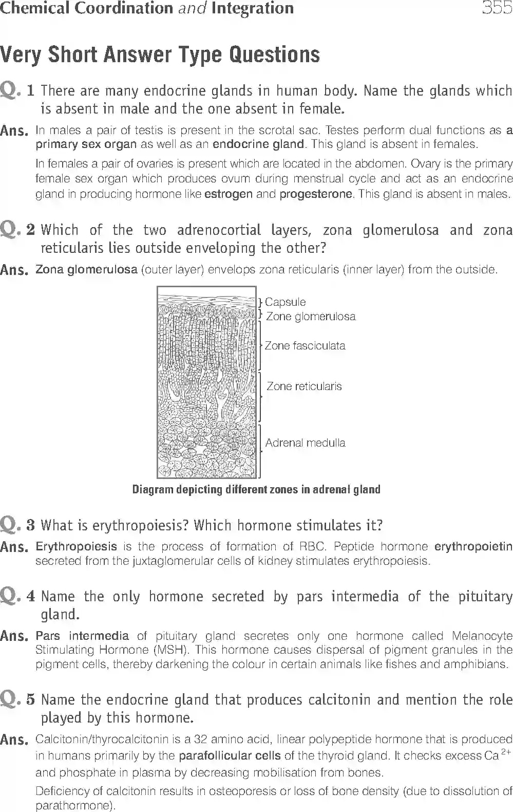 NCERT-Solution-Class-11-Biology-Exemplar-Chemical-Coordination-And-Integration-767-page-6