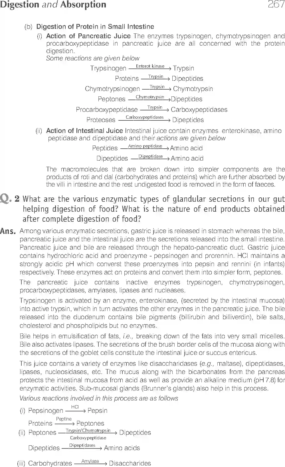 NCERT-Solution-Class-11-Biology-Exemplar-Digestion-and-Absorption-761-page-12