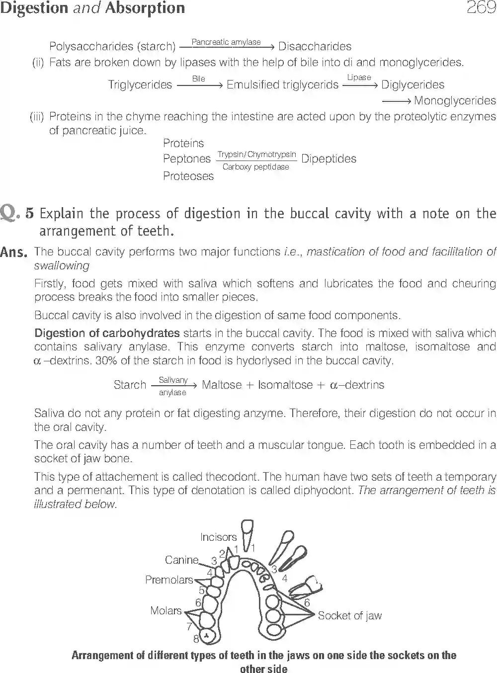 NCERT-Solution-Class-11-Biology-Exemplar-Digestion-and-Absorption-761-page-14