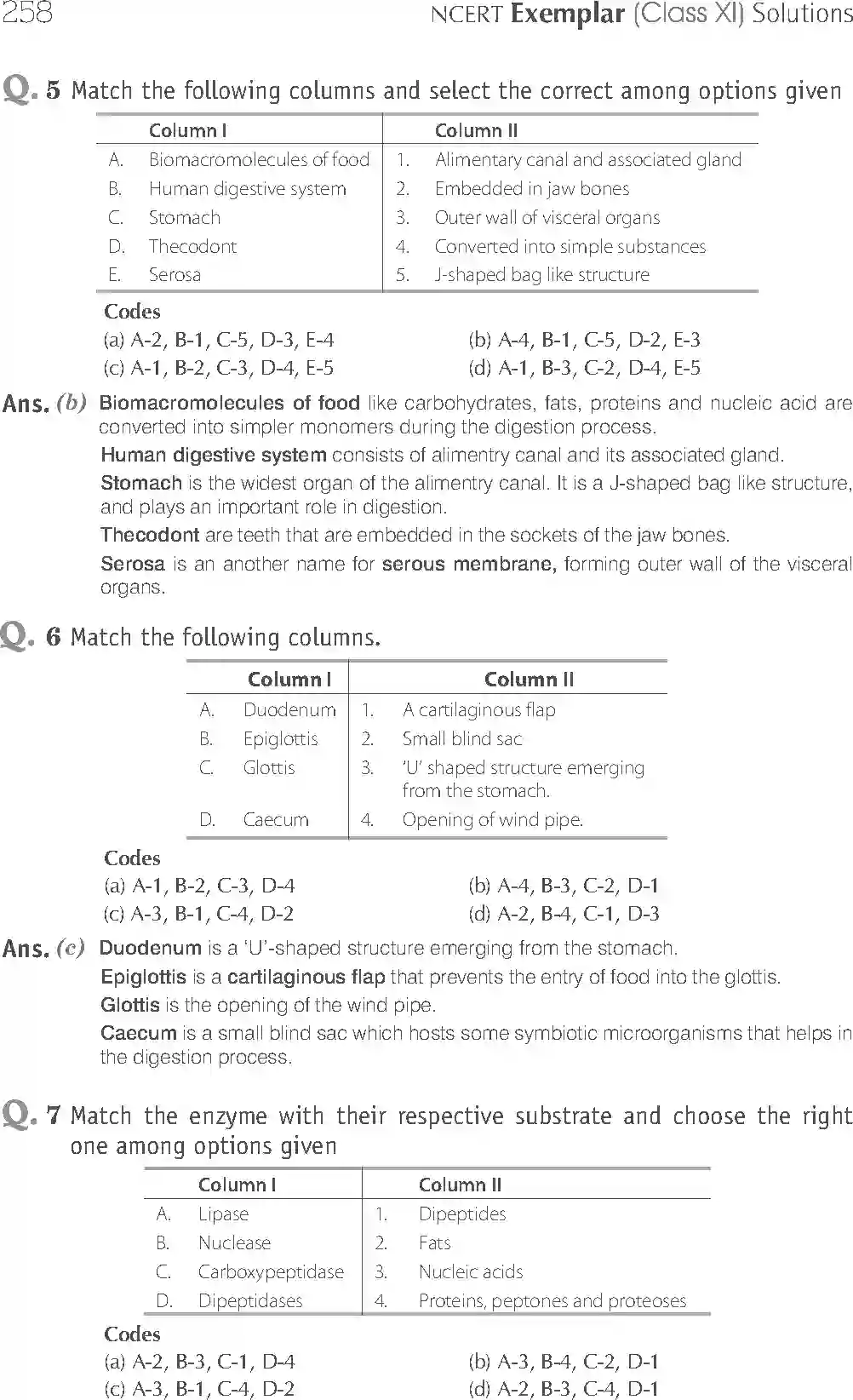 NCERT-Solution-Class-11-Biology-Exemplar-Digestion-and-Absorption-761-page-3