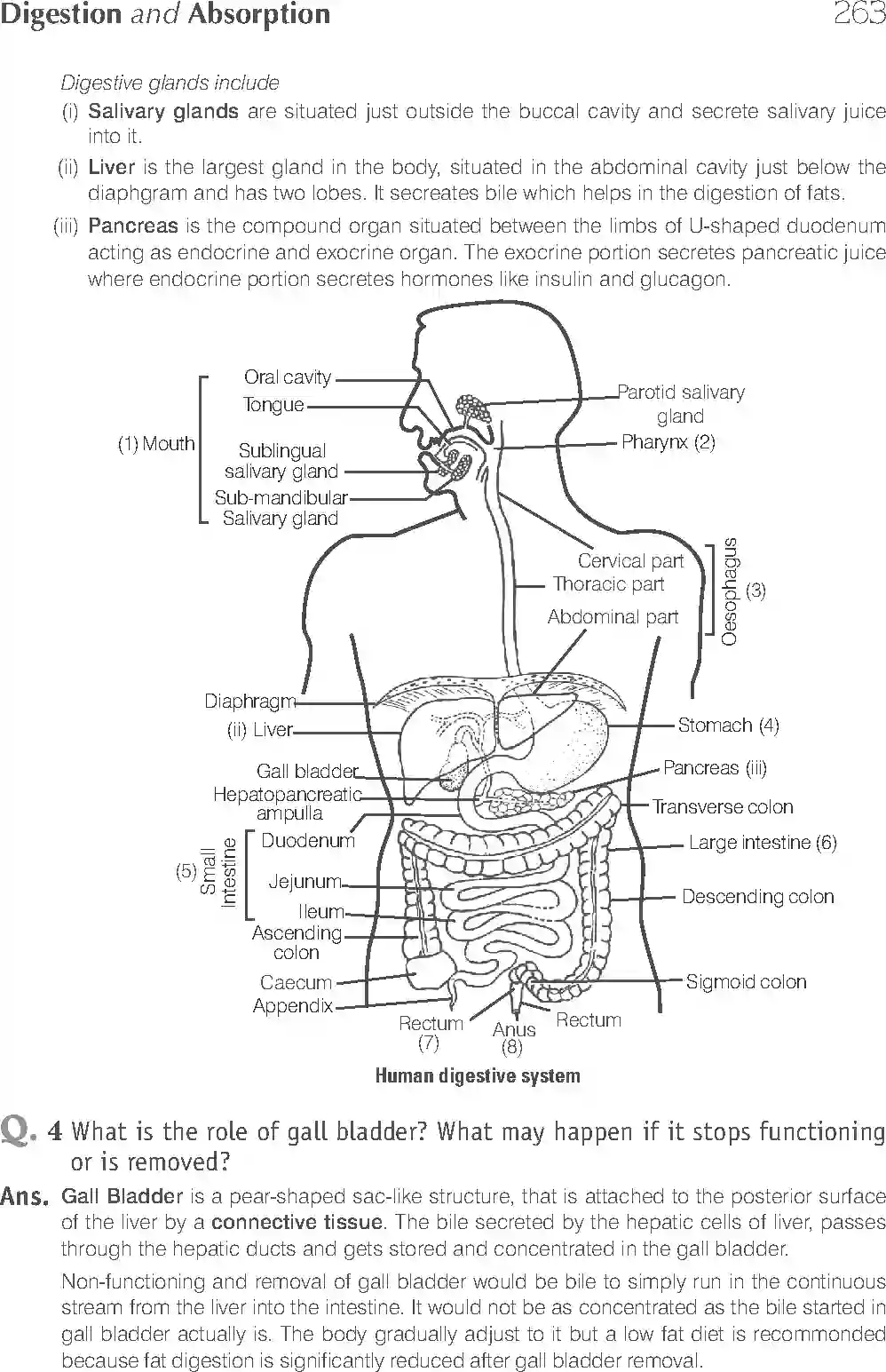 NCERT-Solution-Class-11-Biology-Exemplar-Digestion-and-Absorption-761-page-8