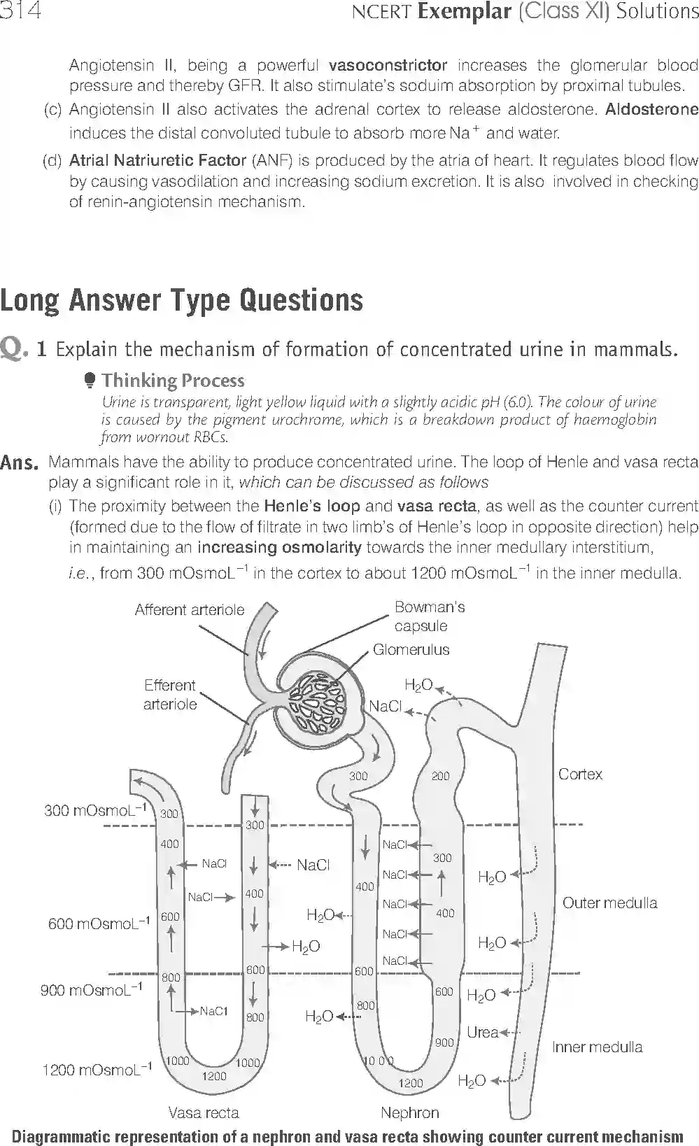 NCERT-Solution-Class-11-Biology-Exemplar-Excretory-Products-And-Their-Elimination-764-page-13