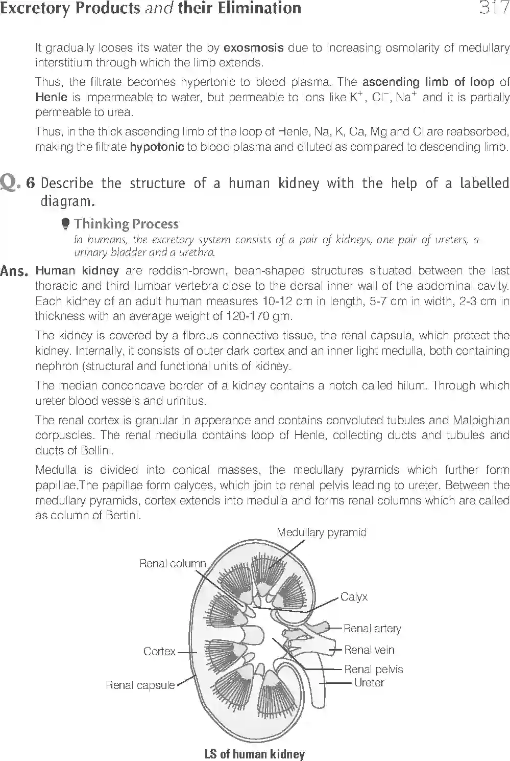 NCERT-Solution-Class-11-Biology-Exemplar-Excretory-Products-And-Their-Elimination-764-page-16