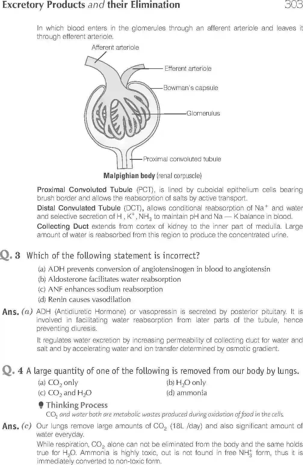 NCERT-Solution-Class-11-Biology-Exemplar-Excretory-Products-And-Their-Elimination-764-page-2