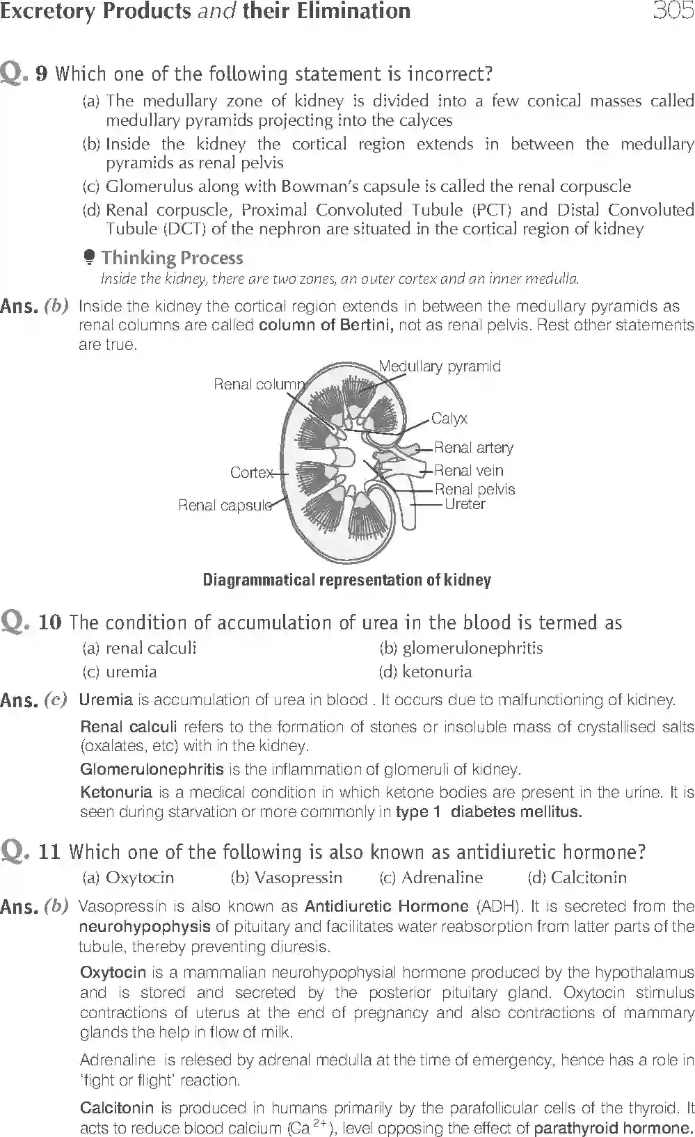 NCERT-Solution-Class-11-Biology-Exemplar-Excretory-Products-And-Their-Elimination-764-page-4