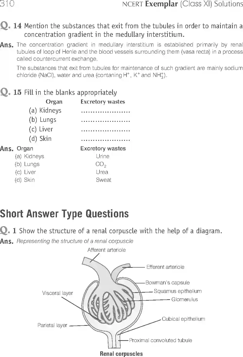 NCERT-Solution-Class-11-Biology-Exemplar-Excretory-Products-And-Their-Elimination-764-page-9