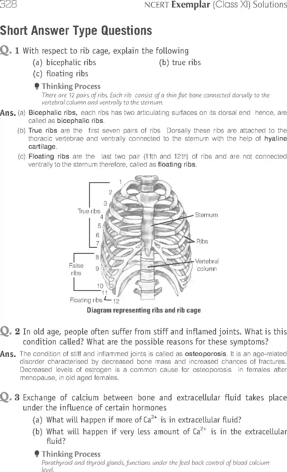 NCERT-Solution-Class-11-Biology-Exemplar-Locomotion-And-Movement-2937-page-11