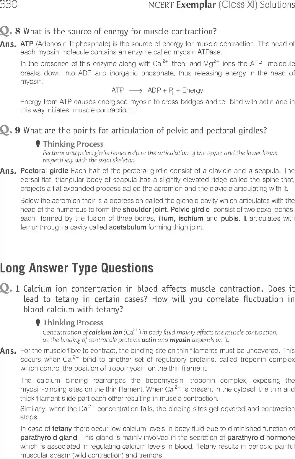 NCERT-Solution-Class-11-Biology-Exemplar-Locomotion-And-Movement-2937-page-13