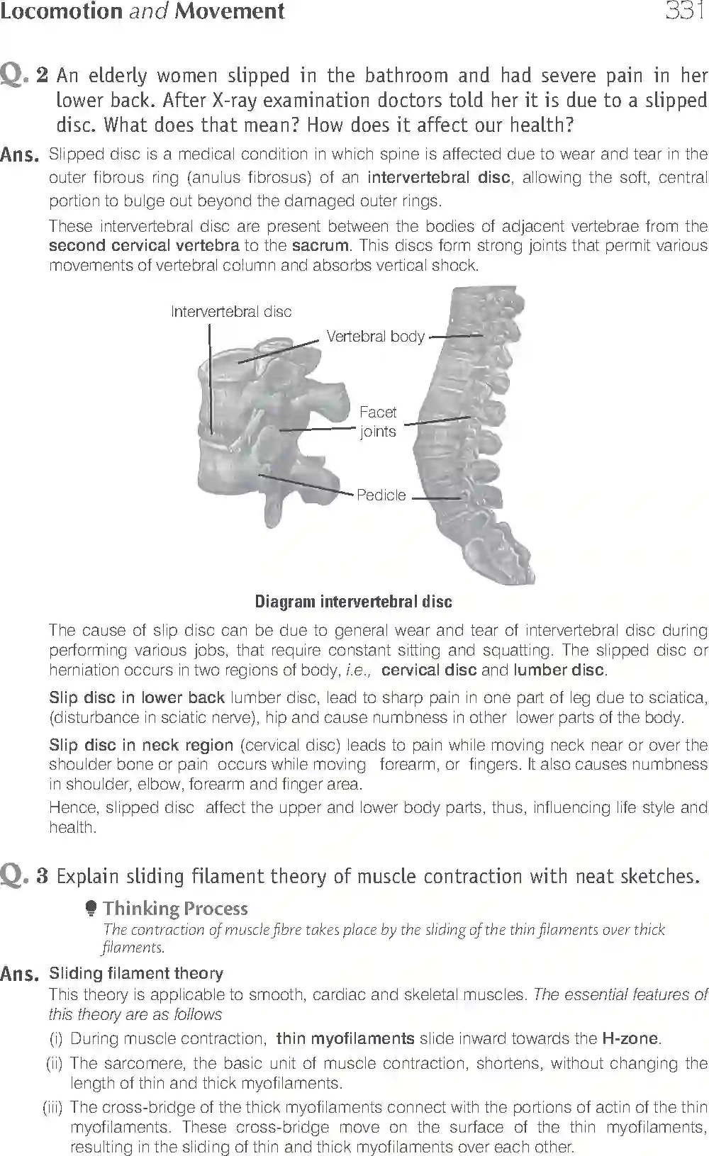 NCERT-Solution-Class-11-Biology-Exemplar-Locomotion-And-Movement-2937-page-14