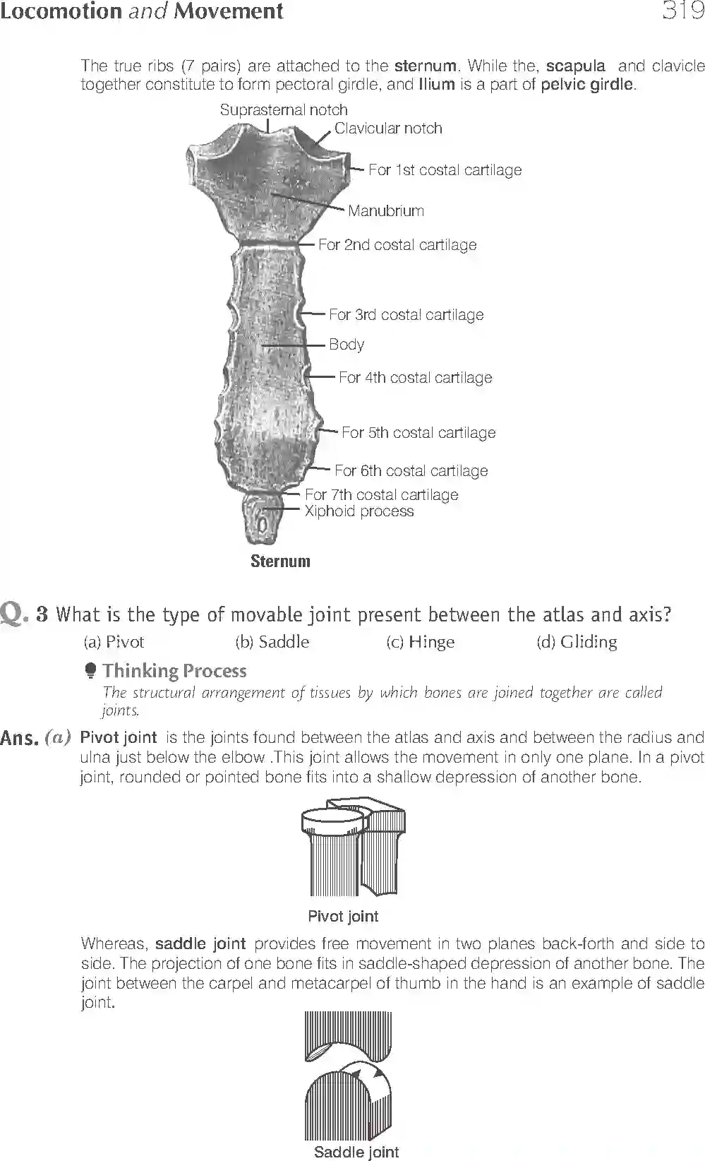 NCERT-Solution-Class-11-Biology-Exemplar-Locomotion-And-Movement-2937-page-2