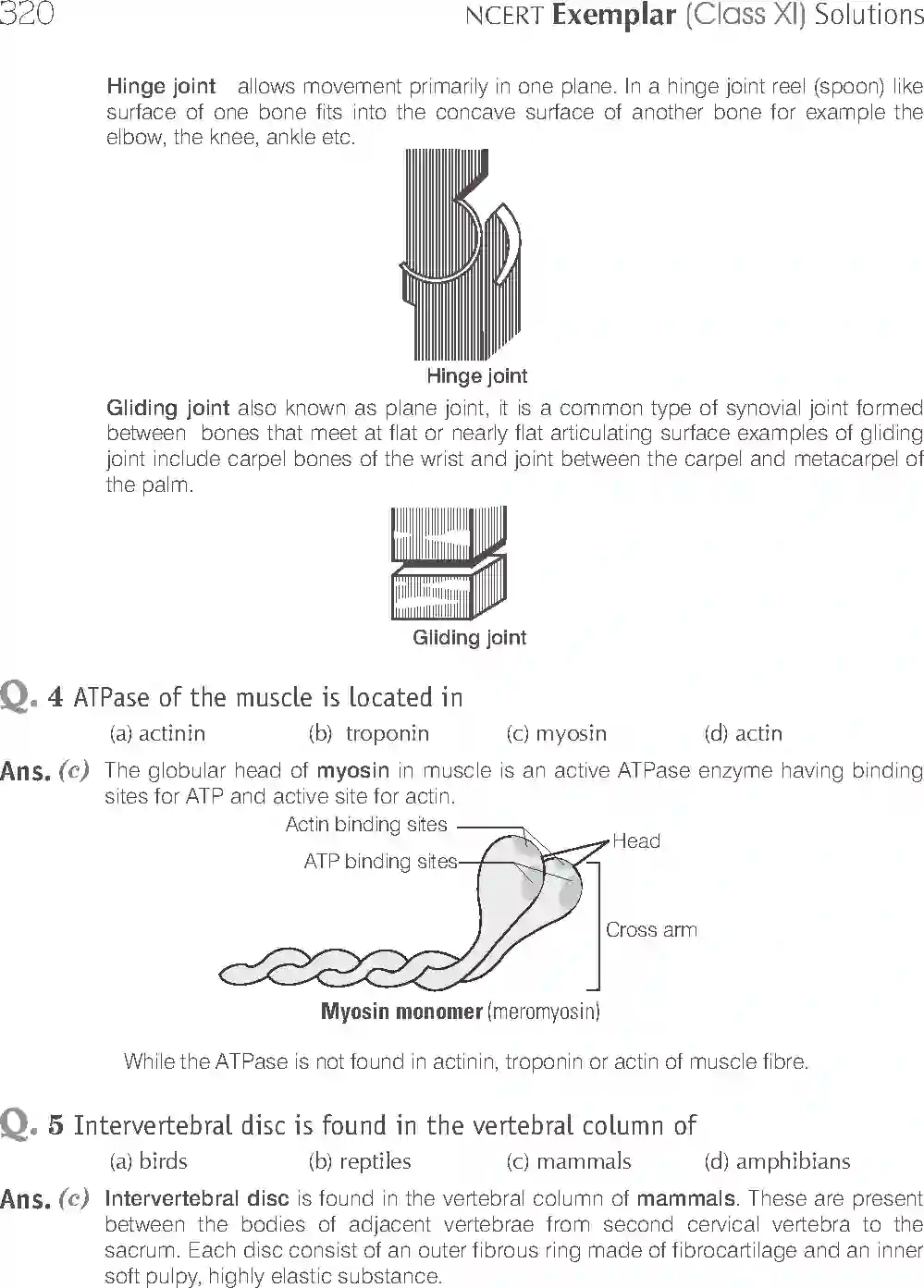 NCERT-Solution-Class-11-Biology-Exemplar-Locomotion-And-Movement-2937-page-3