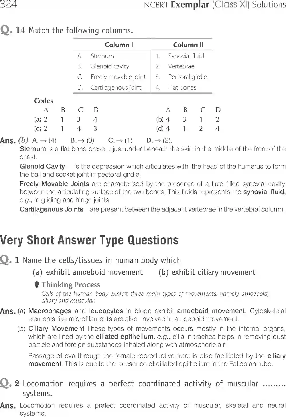 NCERT-Solution-Class-11-Biology-Exemplar-Locomotion-And-Movement-2937-page-7