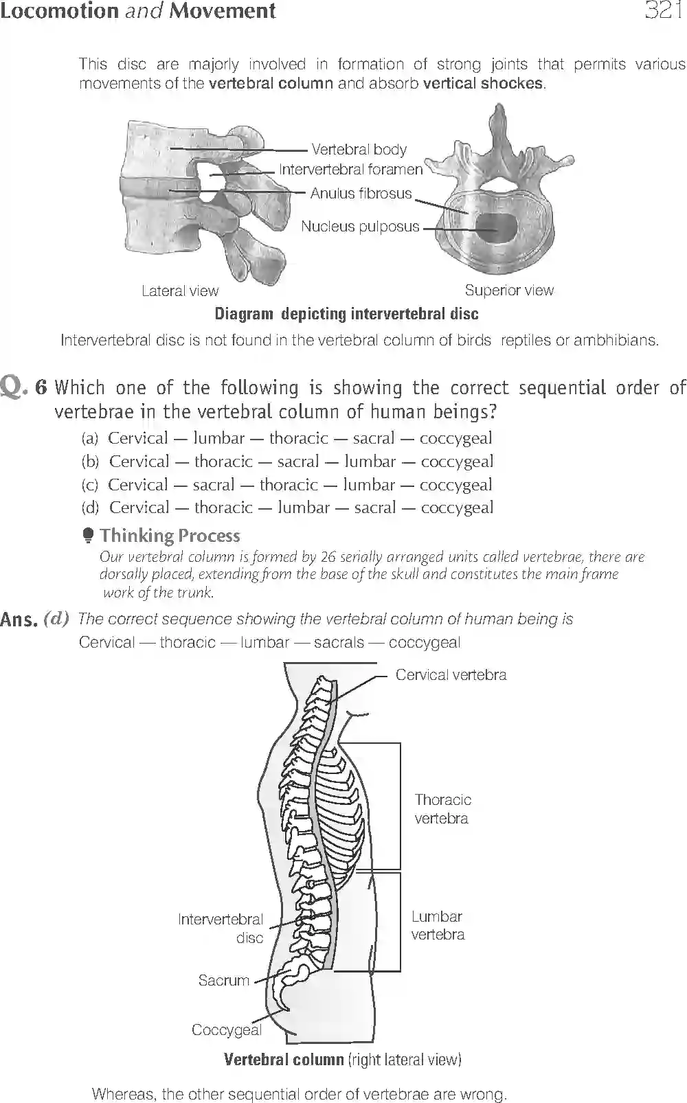 NCERT-Solution-Class-11-Biology-Exemplar-Locomotion-And-Movement-765-page-4