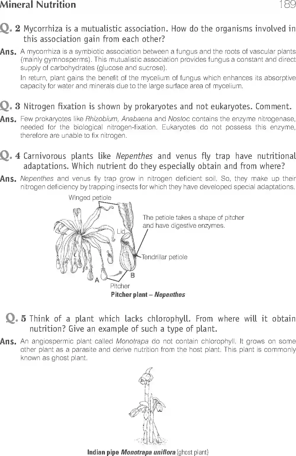 NCERT-Solution-Class-11-Biology-Exemplar-Mineral-Nutrition-2929-page-4
