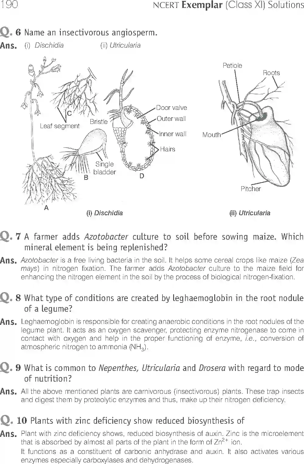NCERT-Solution-Class-11-Biology-Exemplar-Mineral-Nutrition-757-page-5