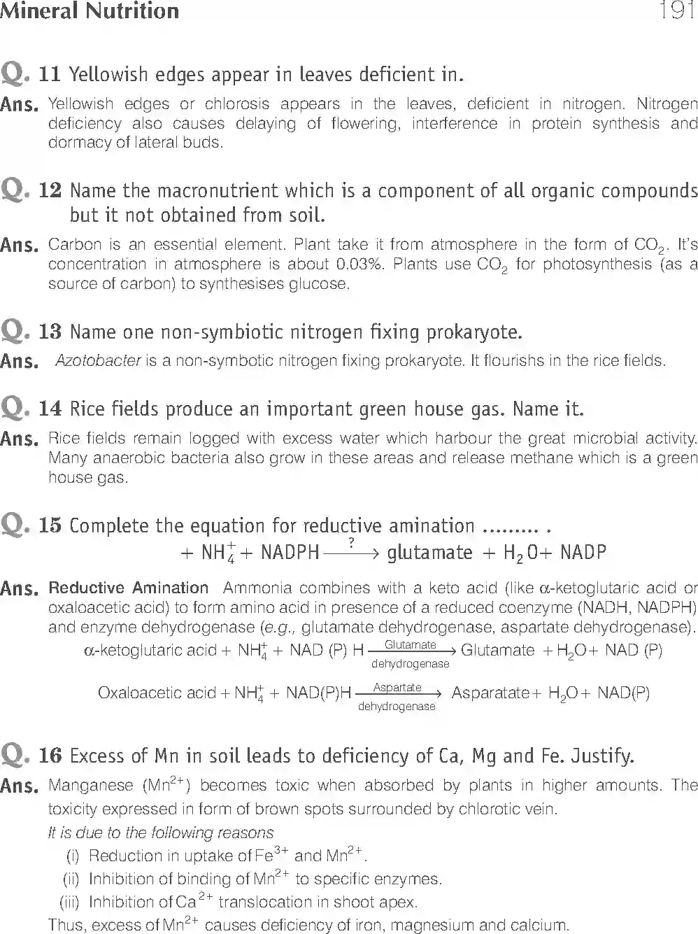 NCERT-Solution-Class-11-Biology-Exemplar-Mineral-Nutrition-757-page-6