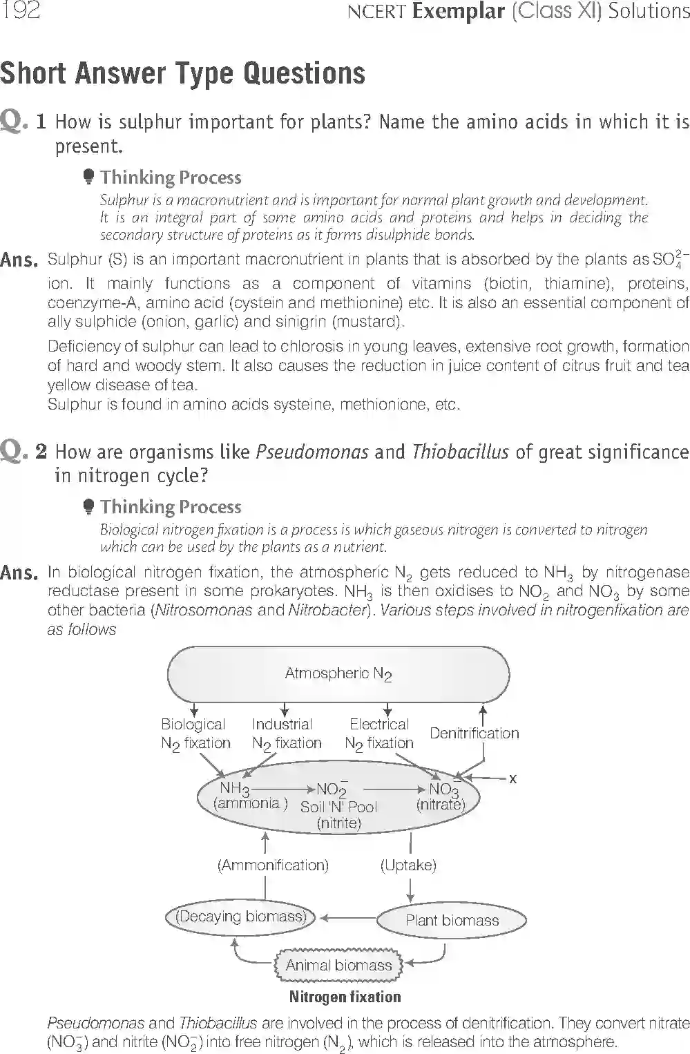NCERT-Solution-Class-11-Biology-Exemplar-Mineral-Nutrition-757-page-7