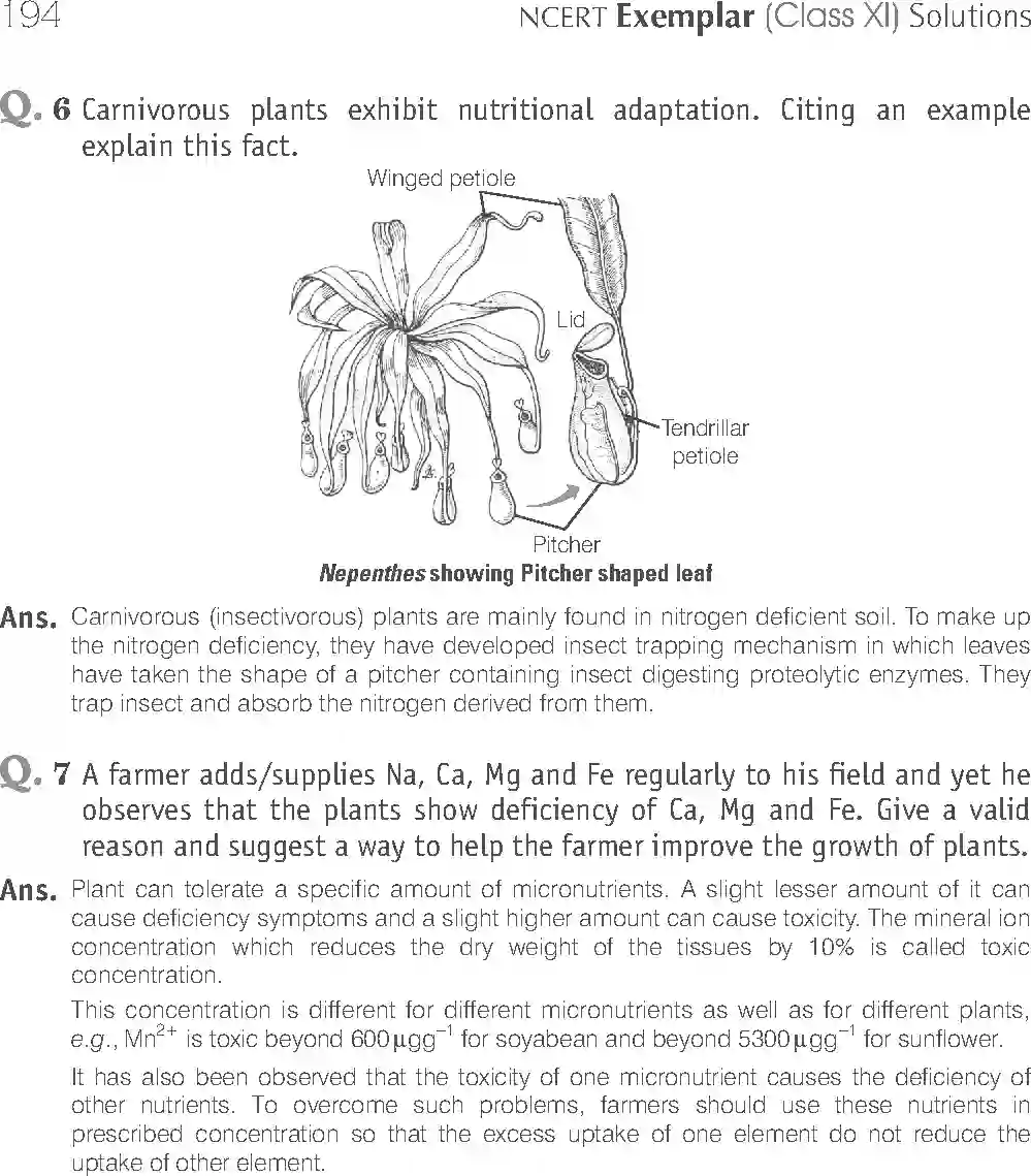 NCERT-Solution-Class-11-Biology-Exemplar-Mineral-Nutrition-757-page-9