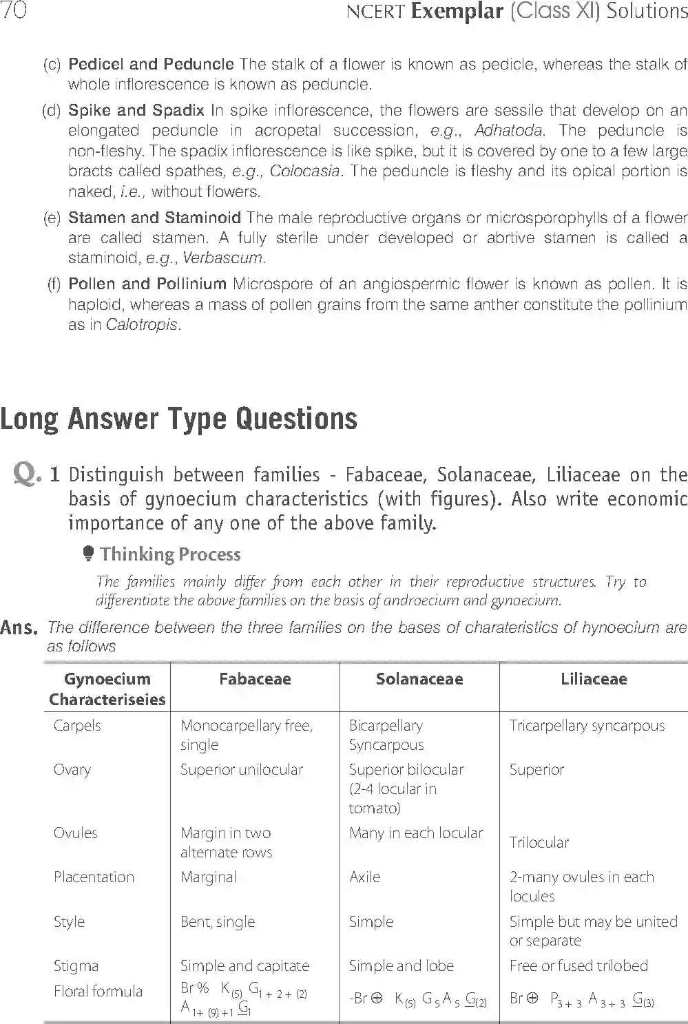 NCERT-Solution-Class-11-Biology-Exemplar-Morphology-of-Flowering-Plants-750-page-14