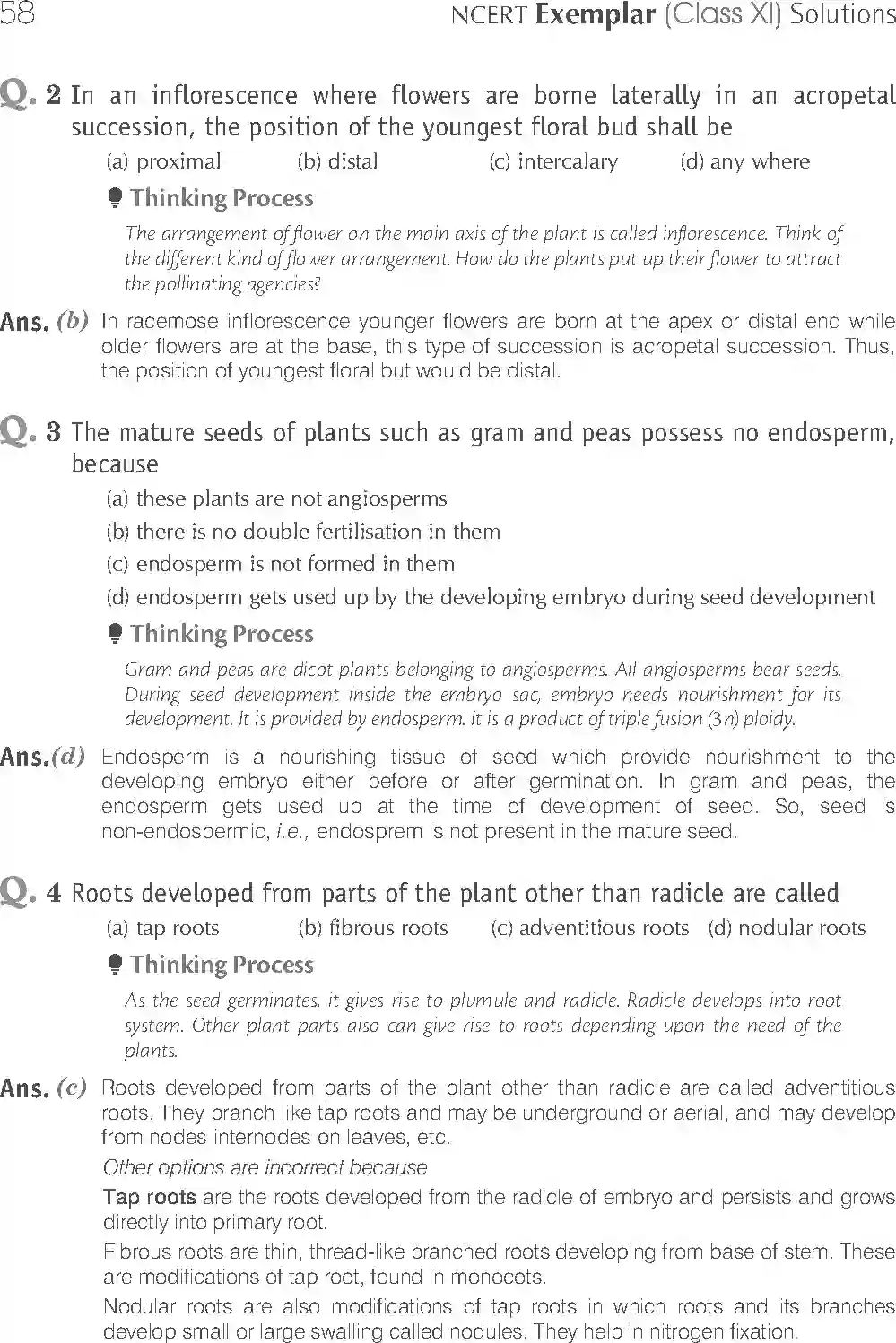 NCERT-Solution-Class-11-Biology-Exemplar-Morphology-of-Flowering-Plants-750-page-2