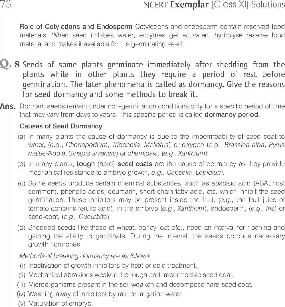NCERT-Solution-Class-11-Biology-Exemplar-Morphology-of-Flowering-Plants-750-page-20