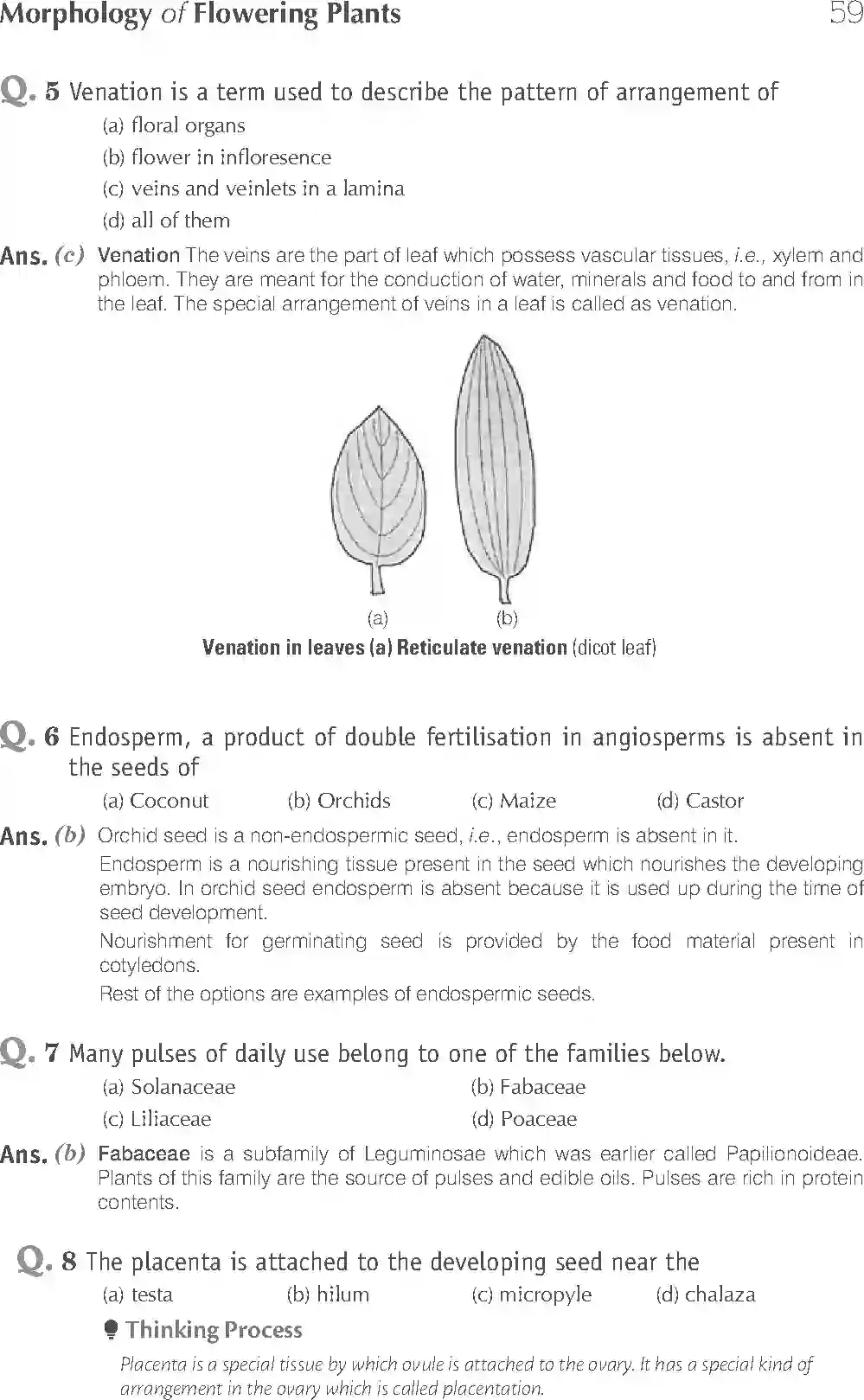 NCERT-Solution-Class-11-Biology-Exemplar-Morphology-of-Flowering-Plants-750-page-3
