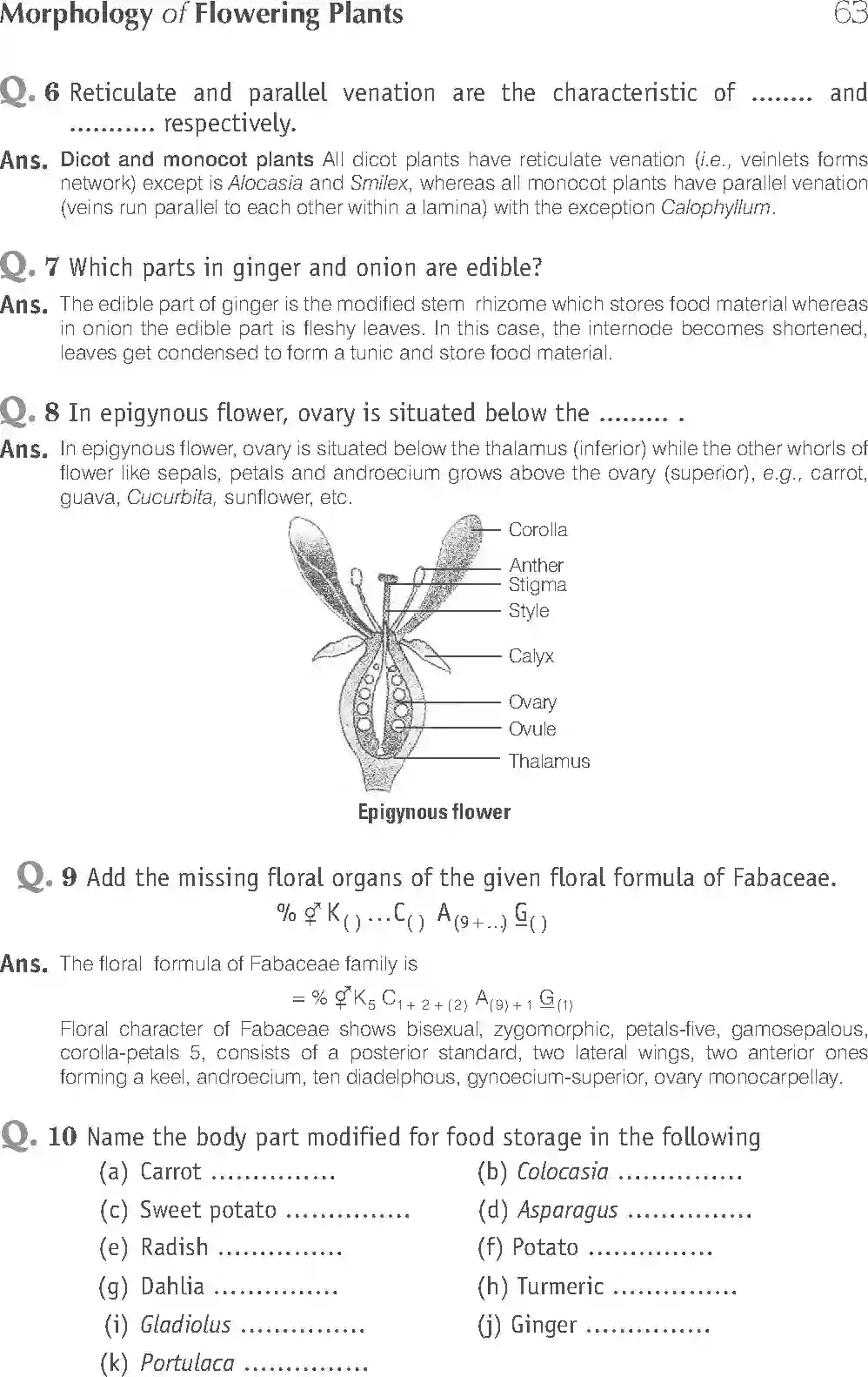 NCERT-Solution-Class-11-Biology-Exemplar-Morphology-of-Flowering-Plants-750-page-7