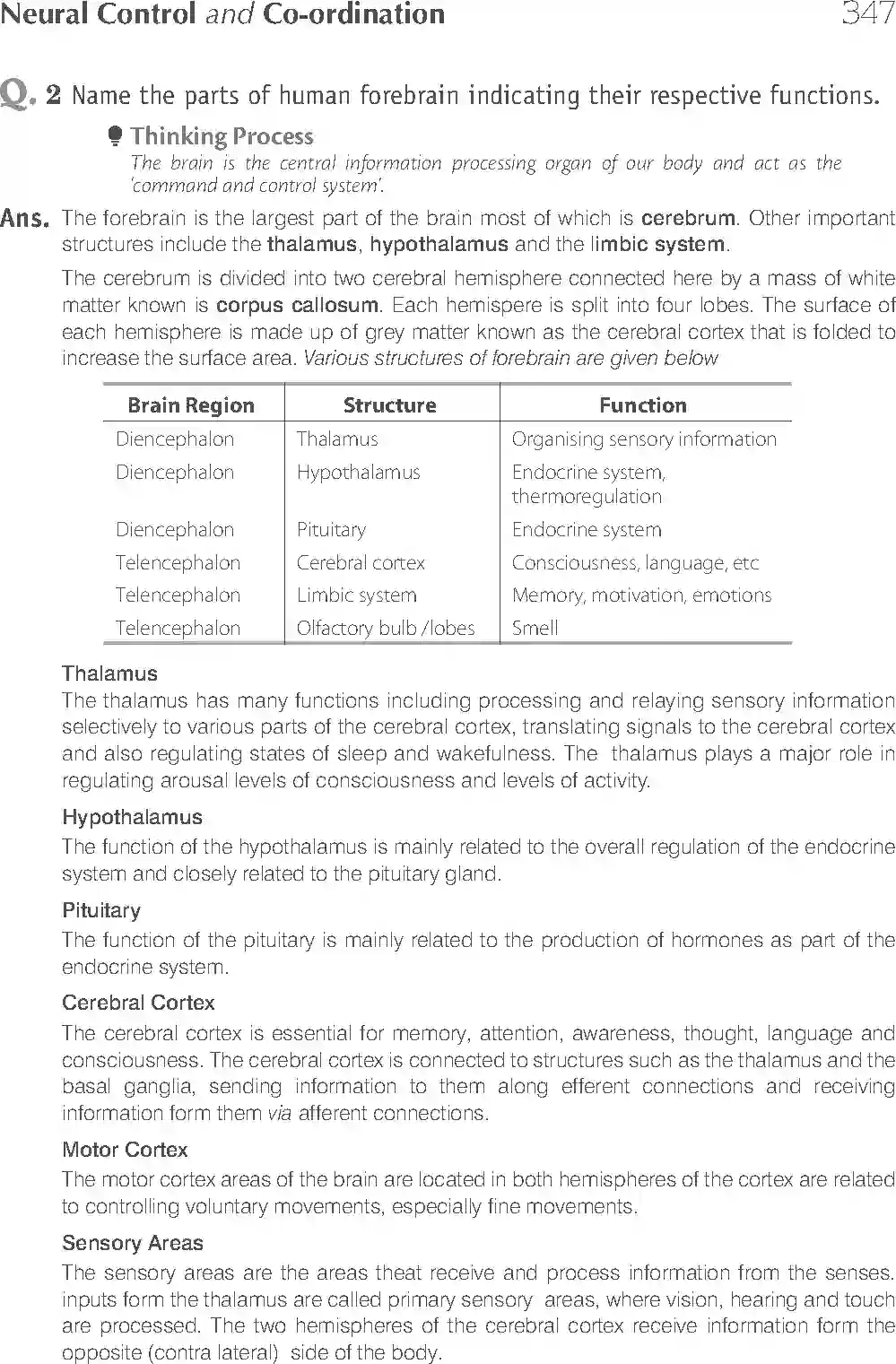 NCERT-Solution-Class-11-Biology-Exemplar-Neural-Control-And-Coordination-2938-page-12