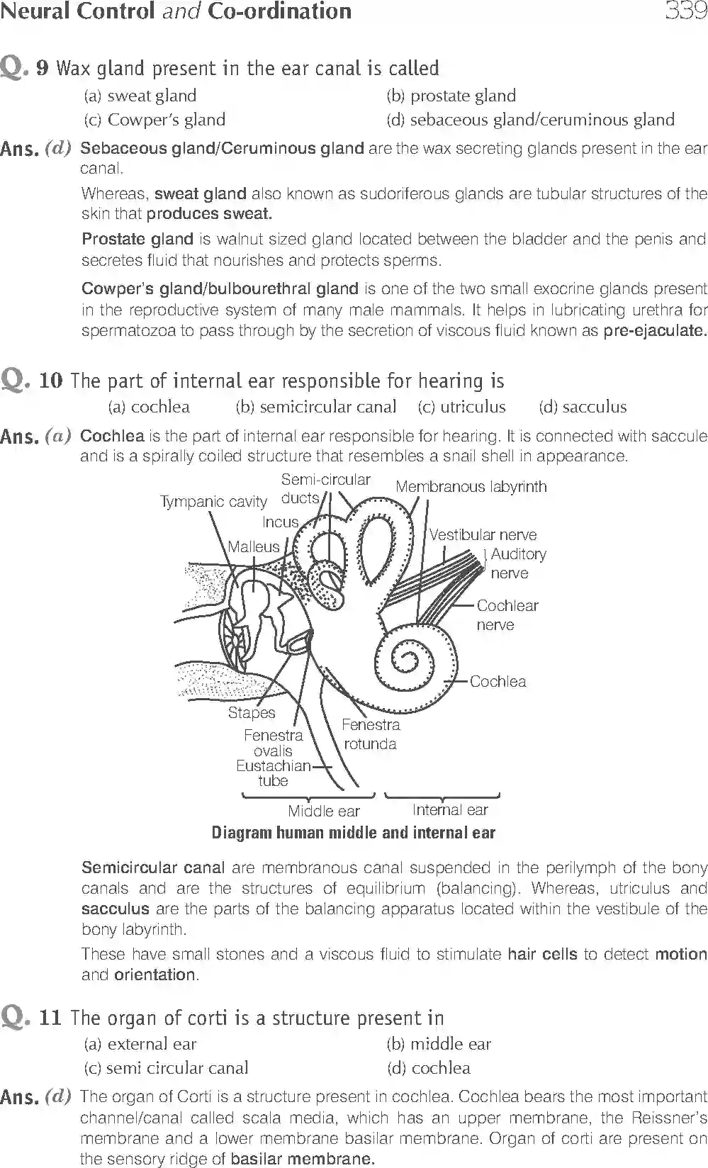 NCERT-Solution-Class-11-Biology-Exemplar-Neural-Control-And-Coordination-2938-page-4