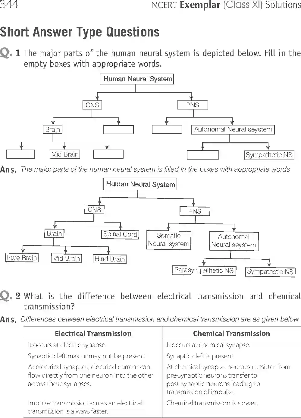 NCERT-Solution-Class-11-Biology-Exemplar-Neural-Control-And-Coordination-2938-page-9