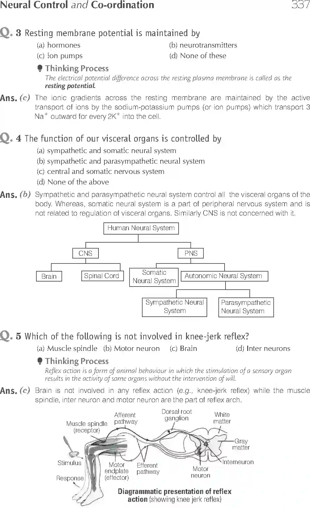 NCERT-Solution-Class-11-Biology-Exemplar-Neural-Control-And-Coordination-766-page-2