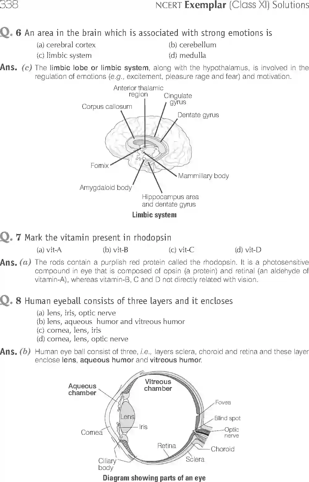 NCERT-Solution-Class-11-Biology-Exemplar-Neural-Control-And-Coordination-766-page-3
