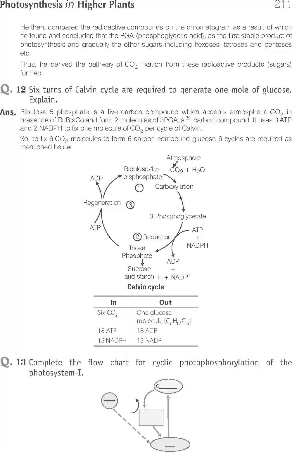 NCERT-Solution-Class-11-Biology-Exemplar-Photosynthesis-in-Higher-Plants-758-page-12