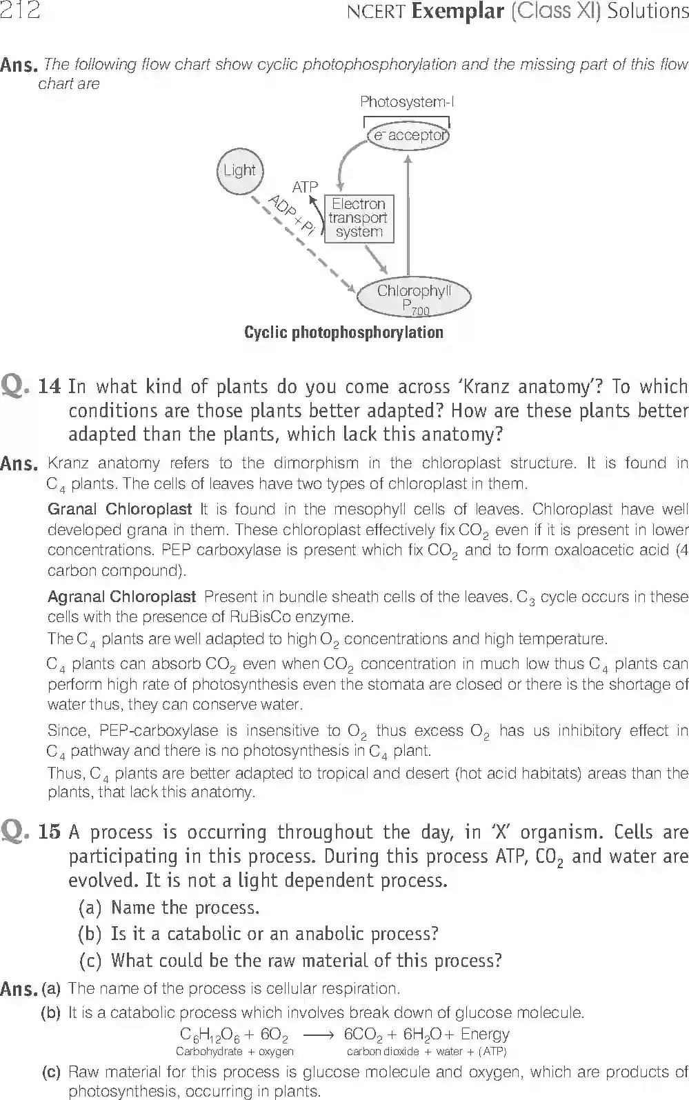 NCERT-Solution-Class-11-Biology-Exemplar-Photosynthesis-in-Higher-Plants-758-page-13