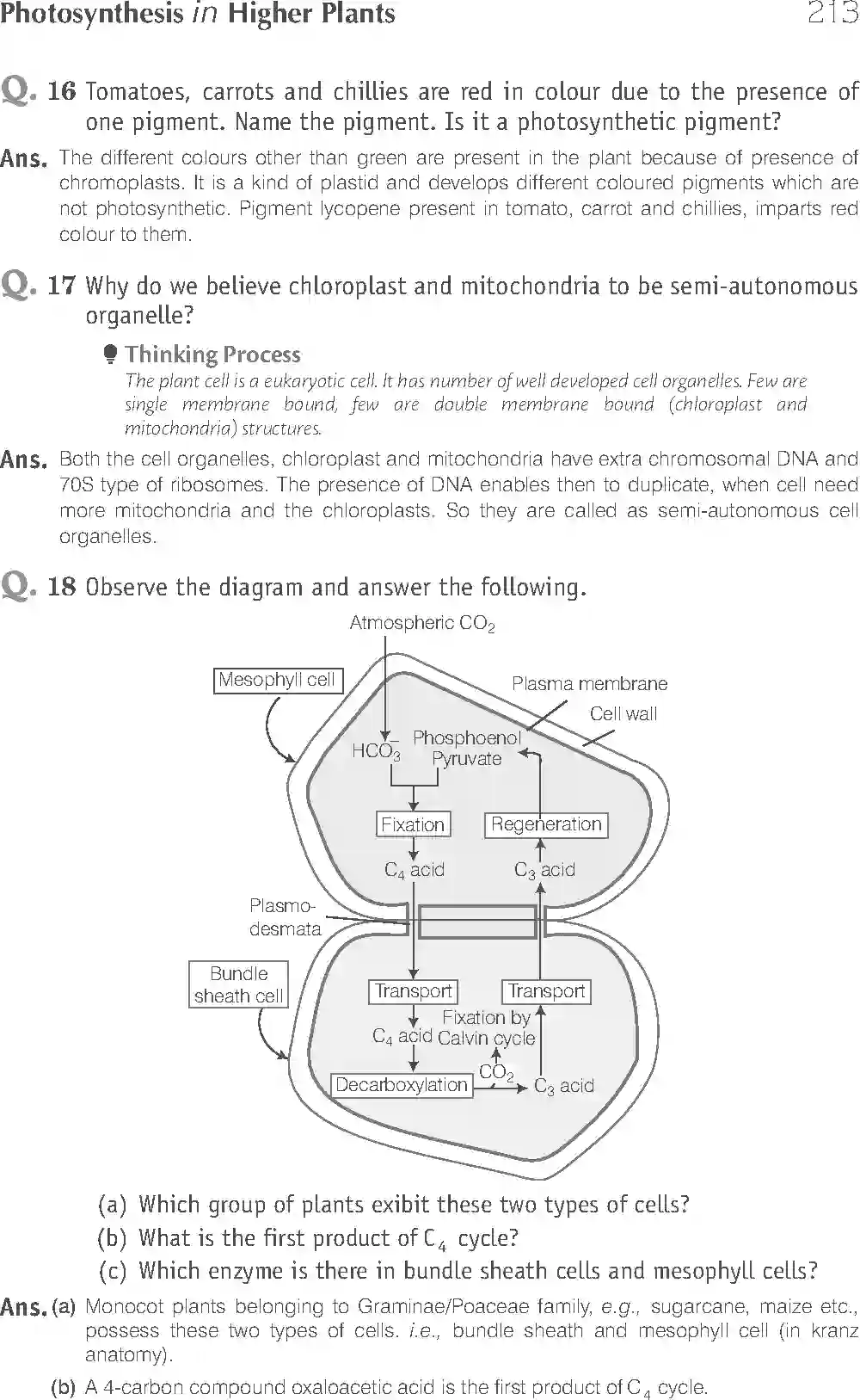 NCERT-Solution-Class-11-Biology-Exemplar-Photosynthesis-in-Higher-Plants-758-page-14