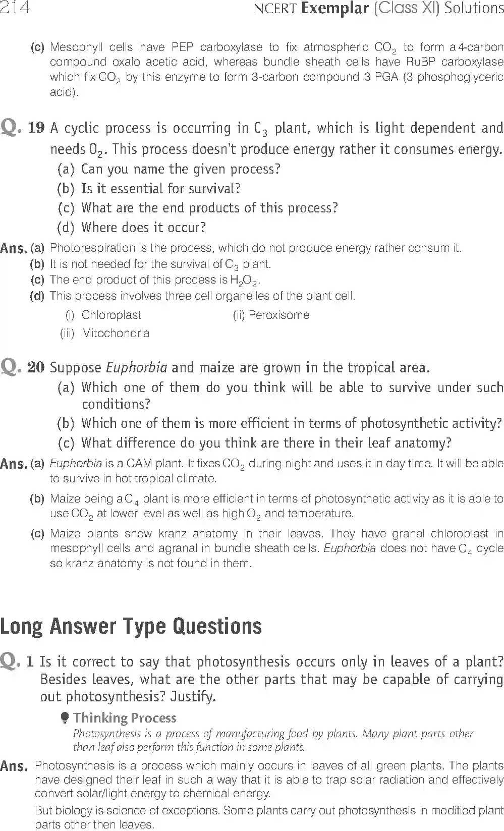 NCERT-Solution-Class-11-Biology-Exemplar-Photosynthesis-in-Higher-Plants-758-page-15