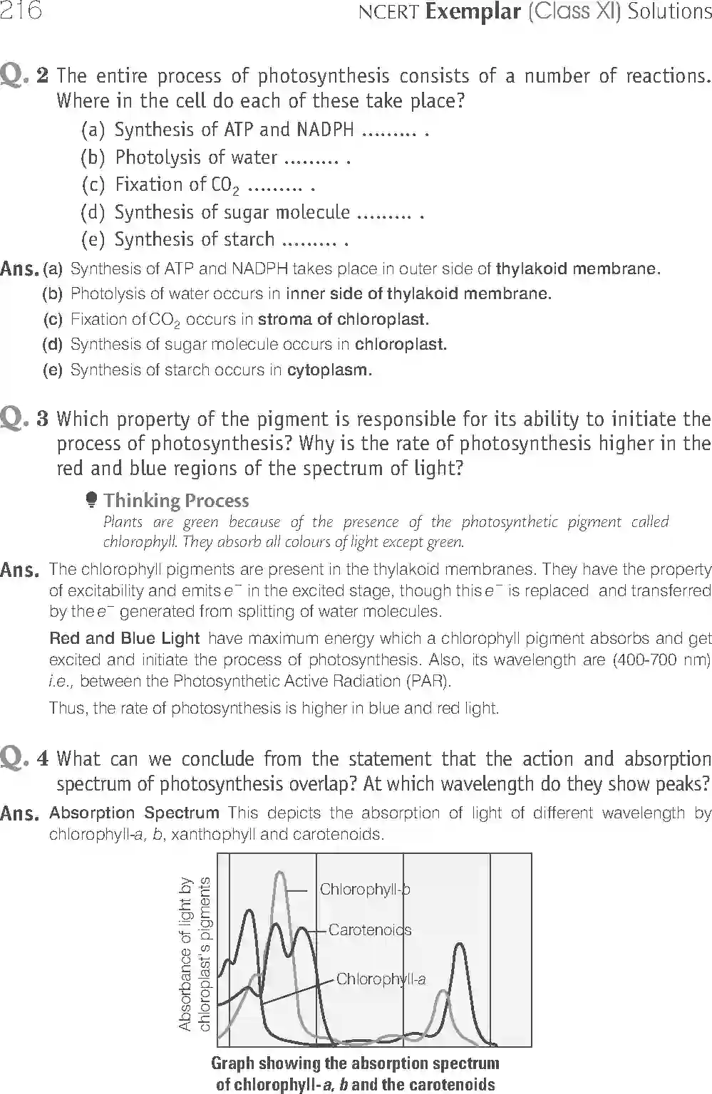NCERT-Solution-Class-11-Biology-Exemplar-Photosynthesis-in-Higher-Plants-758-page-17