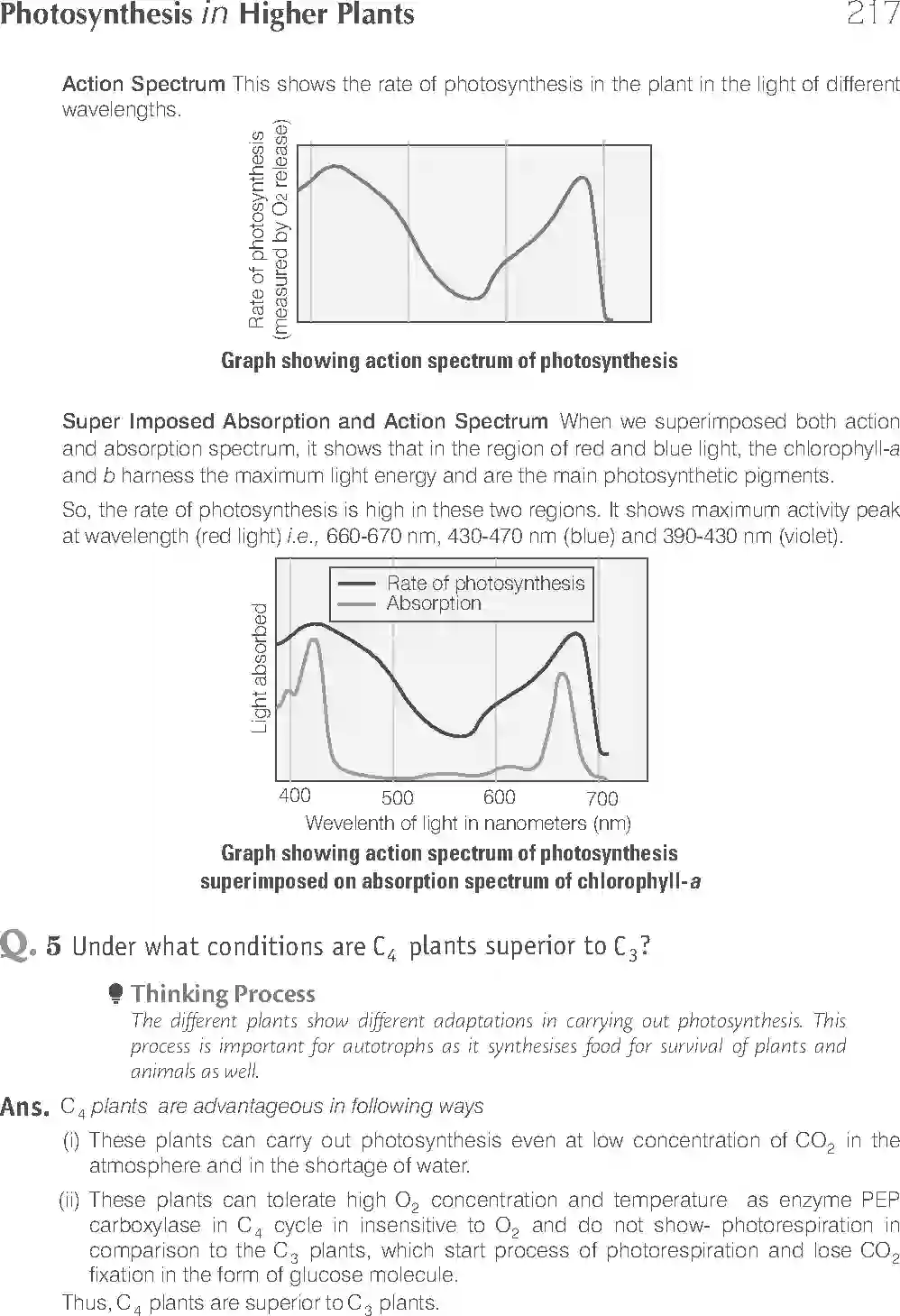 NCERT-Solution-Class-11-Biology-Exemplar-Photosynthesis-in-Higher-Plants-758-page-18