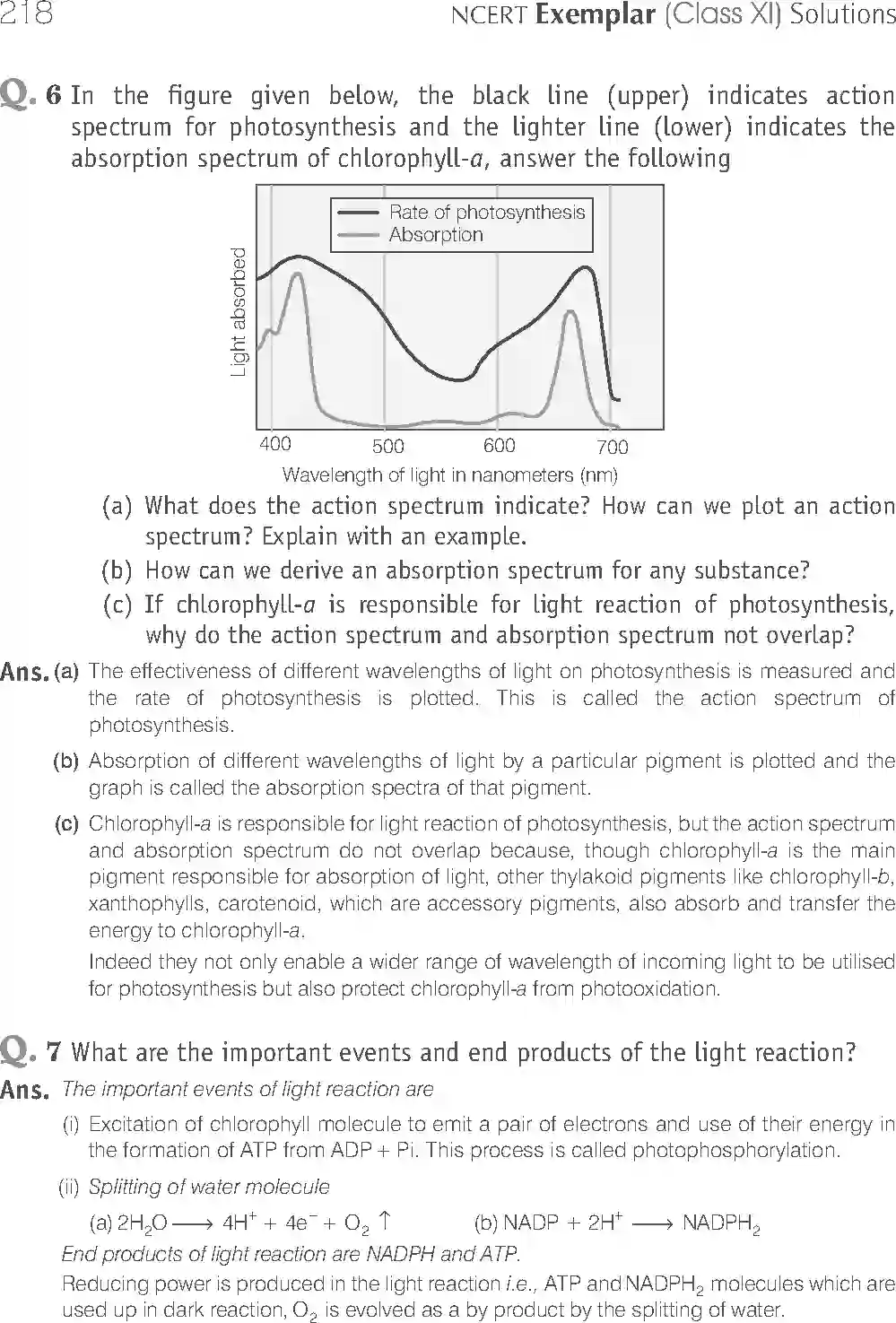 NCERT-Solution-Class-11-Biology-Exemplar-Photosynthesis-in-Higher-Plants-758-page-19