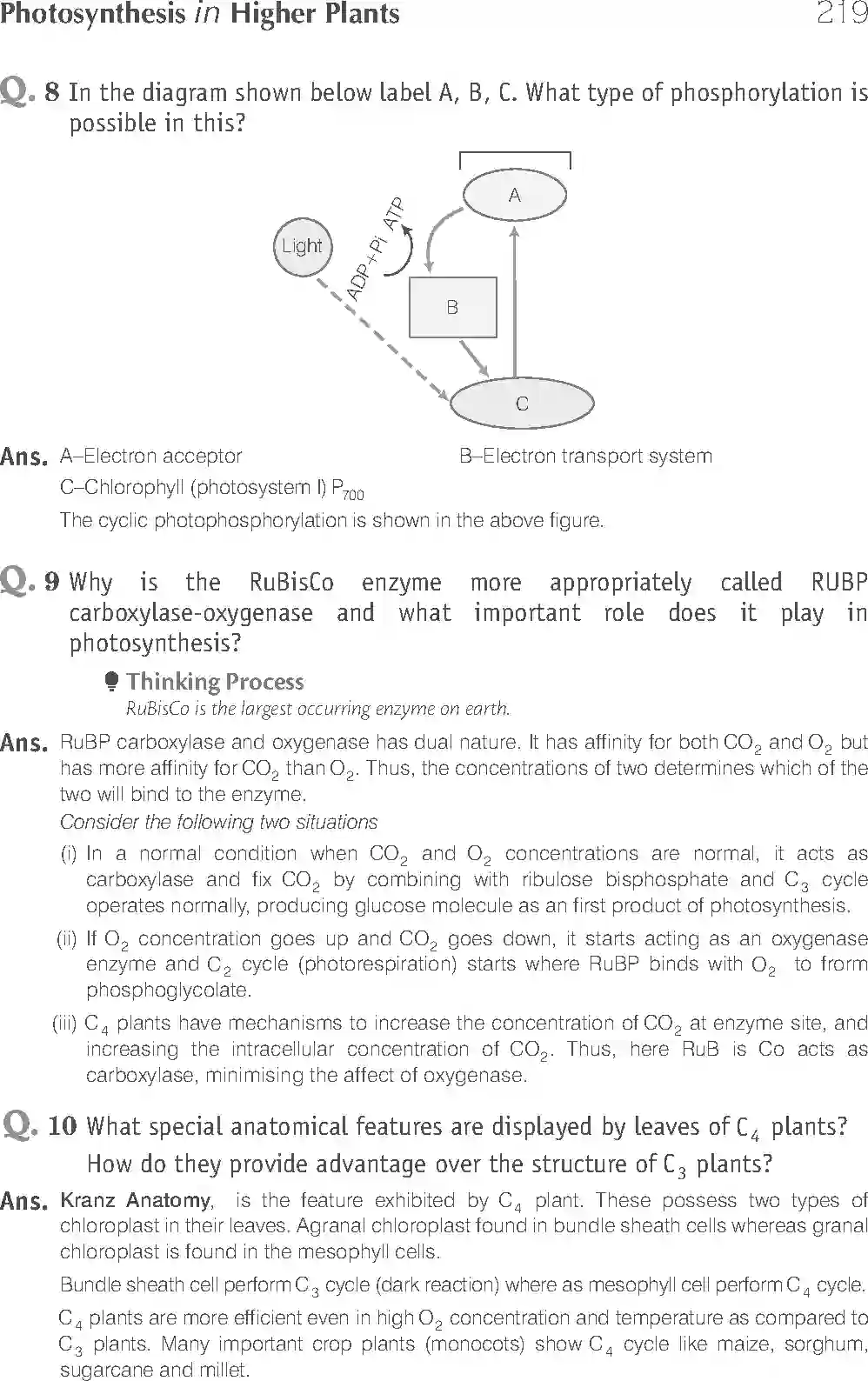 NCERT-Solution-Class-11-Biology-Exemplar-Photosynthesis-in-Higher-Plants-758-page-20