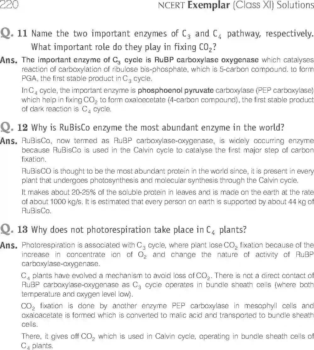 NCERT-Solution-Class-11-Biology-Exemplar-Photosynthesis-in-Higher-Plants-758-page-21