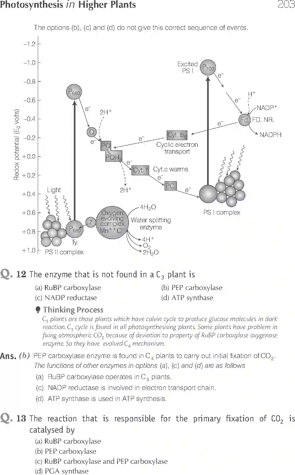 NCERT-Solution-Class-11-Biology-Exemplar-Photosynthesis-in-Higher-Plants-758-page-4