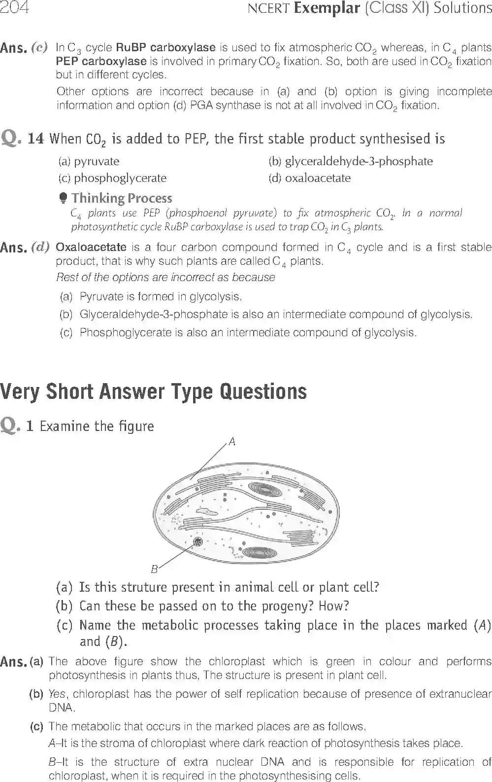 NCERT-Solution-Class-11-Biology-Exemplar-Photosynthesis-in-Higher-Plants-758-page-5