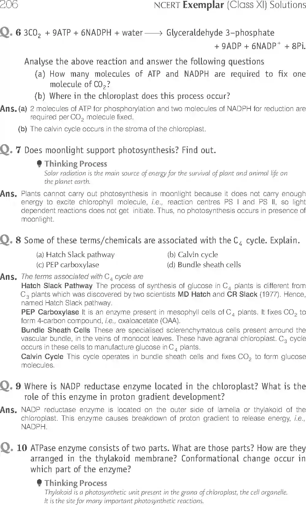 NCERT-Solution-Class-11-Biology-Exemplar-Photosynthesis-in-Higher-Plants-758-page-7