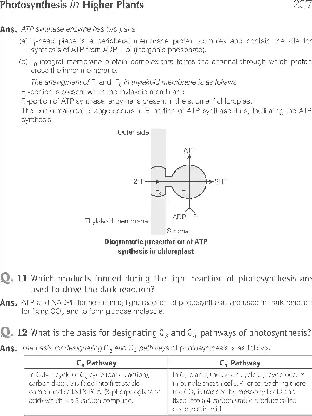 NCERT-Solution-Class-11-Biology-Exemplar-Photosynthesis-in-Higher-Plants-758-page-8