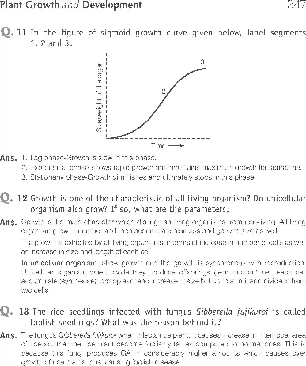 NCERT-Solution-Class-11-Biology-Exemplar-Plant-Growth-And-Development-2932-page-7