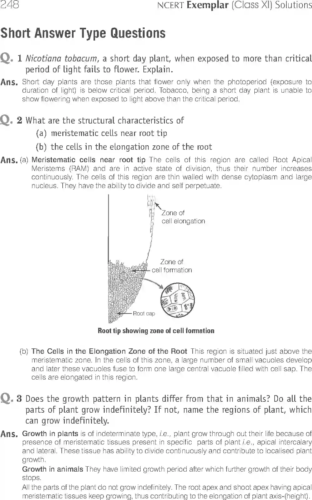 NCERT-Solution-Class-11-Biology-Exemplar-Plant-Growth-And-Development-2932-page-8