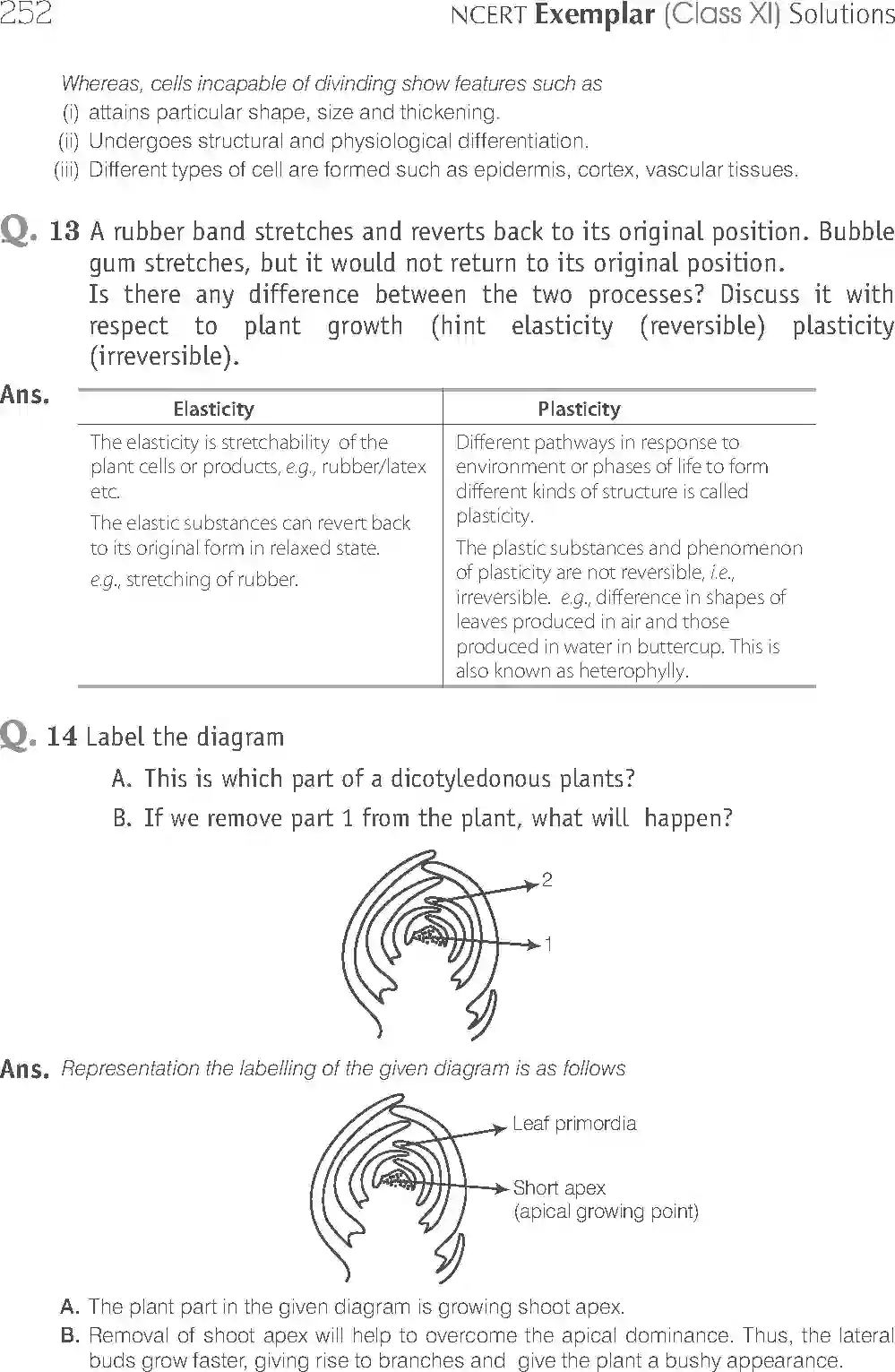 NCERT-Solution-Class-11-Biology-Exemplar-Plant-Growth-And-Development-760-page-12