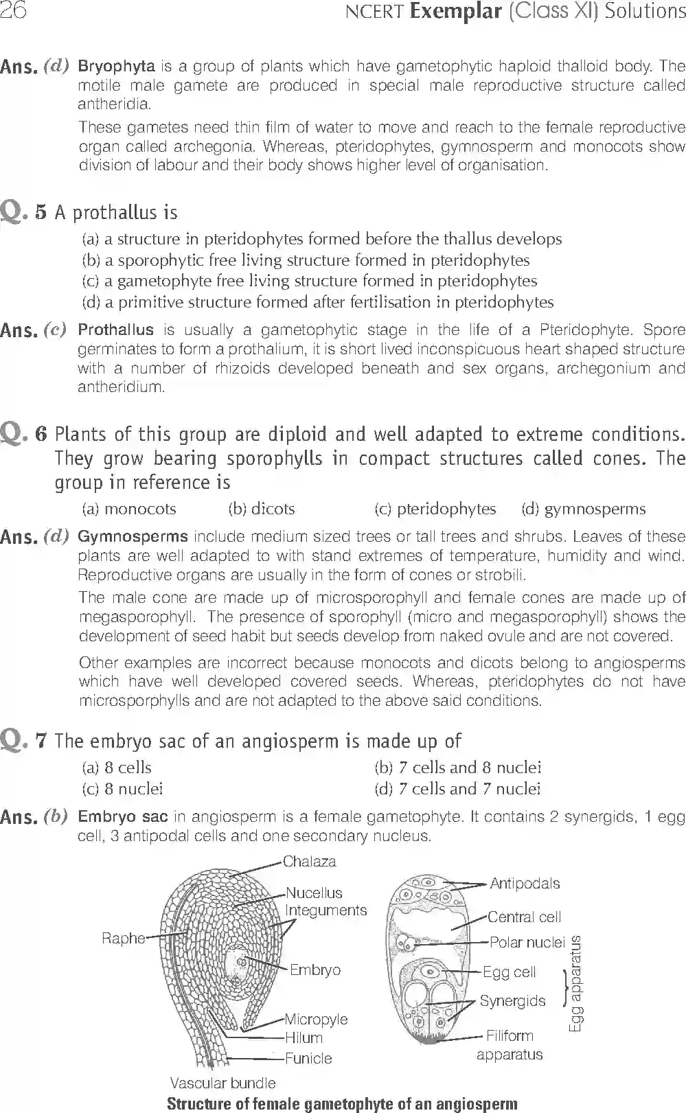 NCERT-Solution-Class-11-Biology-Exemplar-Plant-Kingdom-748-page-2