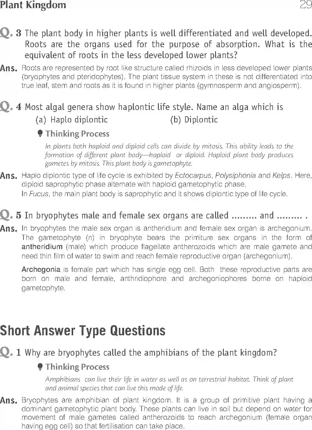NCERT-Solution-Class-11-Biology-Exemplar-Plant-Kingdom-748-page-5